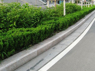 河南路沿石价格_日照杭评石材